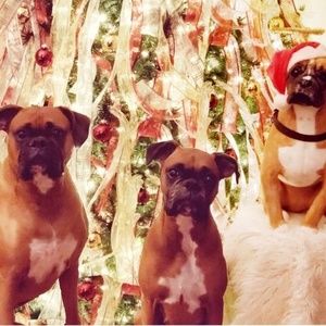 Meet your Posher, Buffy